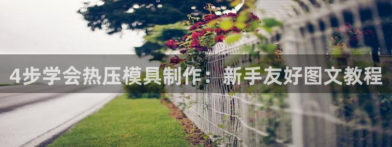 易倍申在中国成功上市：4步学会热压模具制作：新手友好图文