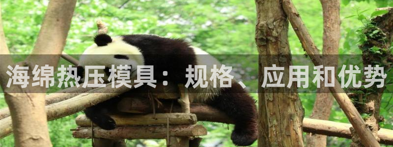 易倍申和易倍清的区别