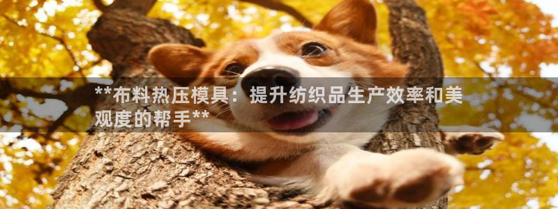 emc易倍官网首页进入：**布料热压模具：提升纺织品生产