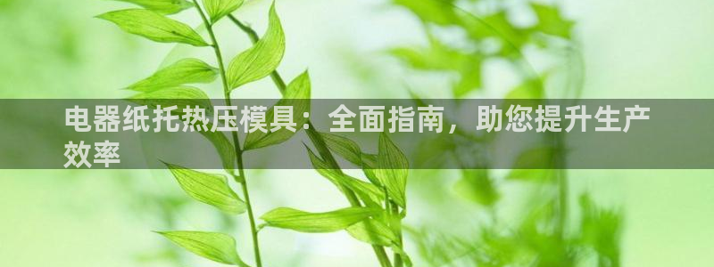 易倍emc安全吗：电器纸托热压模具：全面指南，助您提升生