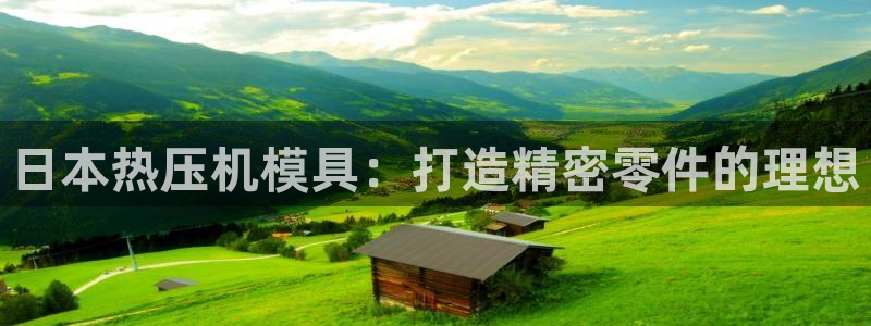 emc易倍网页版：日本热压机模具：打造精密零件的理想