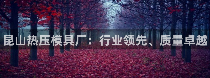 易倍电竞：昆山热压模具厂：行业领先、质量卓越