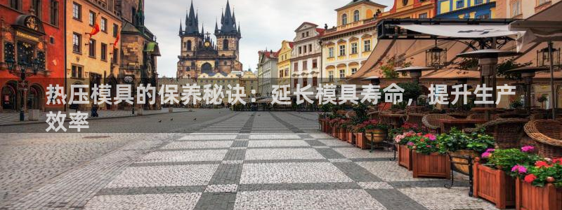 emc易倍官方平台：热压模具的保养秘诀：延长模具寿命，提