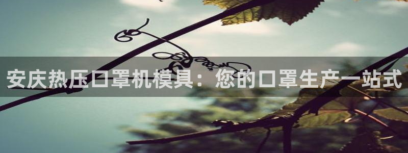 北京易倍思教育科技有限公司：安庆热压口罩机模具：您的口罩