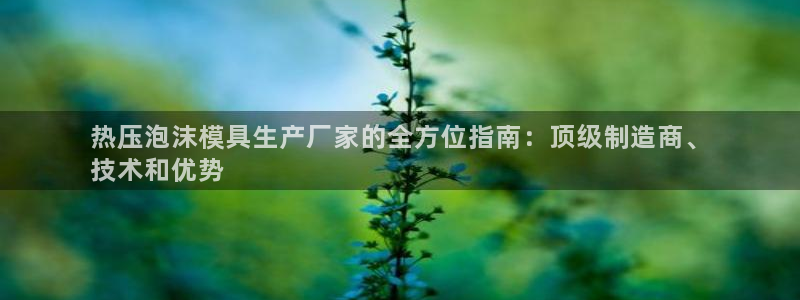 易倍达科技有限公司招聘：热压泡沫模具生产厂家的全方位指南