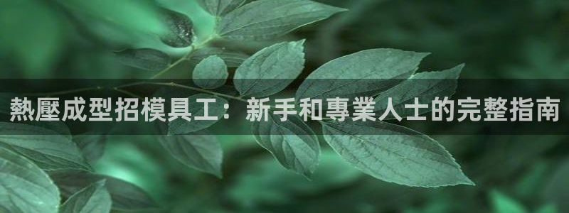 emc易倍全站：熱壓成型招模具工：新手和專業人士的完整指