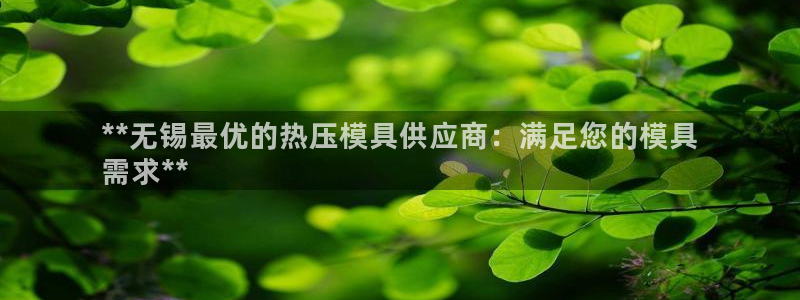 emc易倍怎么样：**无锡最优的热压模具供应商：满足您的