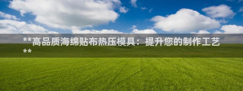 emc备份软件