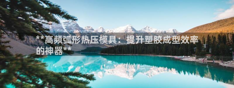杭州易倍达：**高频弧形热压模具：提升塑胶成型效率
的神
