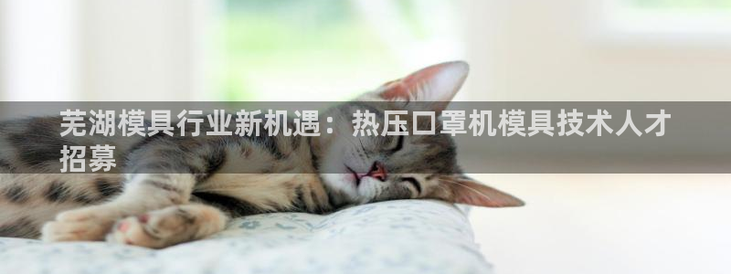 emc易倍是黑台子吗