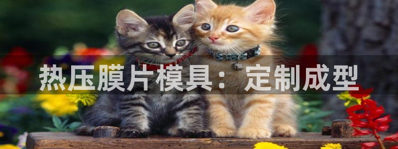 emc易倍官网app下载：热压膜片模具：定制成型