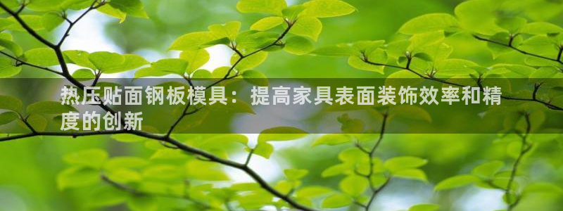 emc频率范围：热压贴面钢板模具：提高家具表面装饰效率和