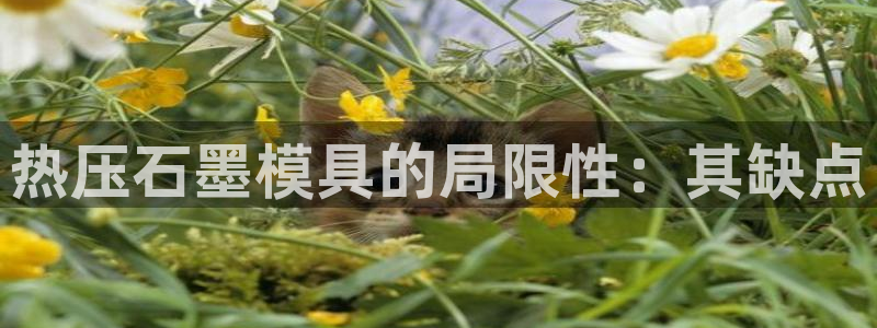 emc全站app下载：热压石墨模具的局限性：其缺点