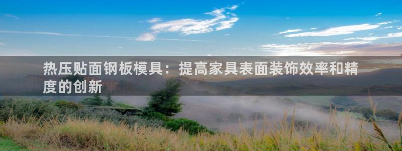 emc易倍网站是多少：热压贴面钢板模具：提高家具表面装饰
