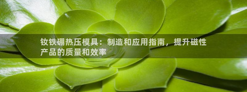 emc易倍穆里尼奥：钕铁硼热压模具：制造和应用指南，提升