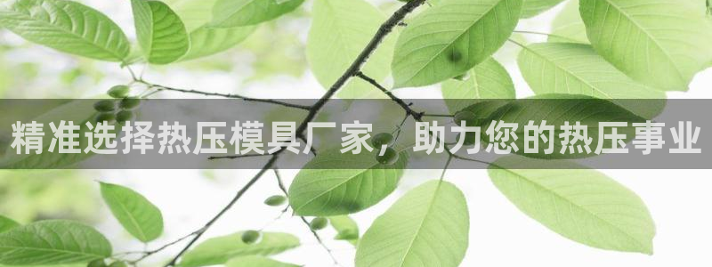 emc易倍账号异常：精准选择热压模具厂家，助力您的热压事