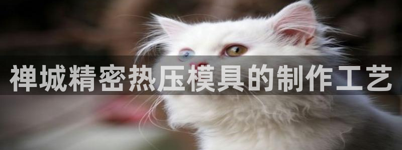 易倍emc网址：禅城精密热压模具的制作工艺