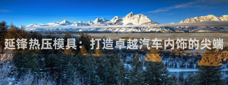 南京易倍易电子科技有限公司：延锋热压模具：打造卓越汽车内