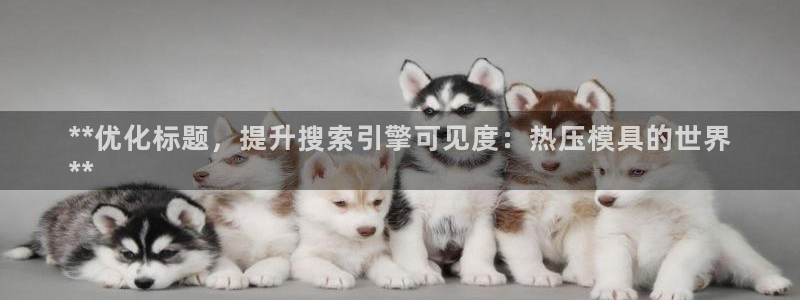 易倍纤减肥反弹不：**优化标题，提升搜索引擎可见度：热压