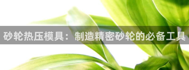 易倍达科技有限公司代运营：砂轮热压模具：制造精密砂轮的必