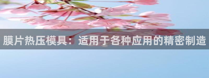 易倍申片能长期服用吗：膜片热压模具：适用于各种应用的精密