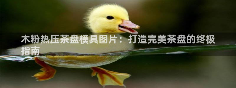 易倍申的副作用：木粉热压茶盘模具图片：打造完美茶盘的终极