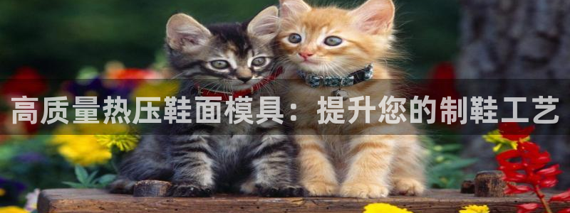 emc易倍首页：高质量热压鞋面模具：提升您的制鞋工艺