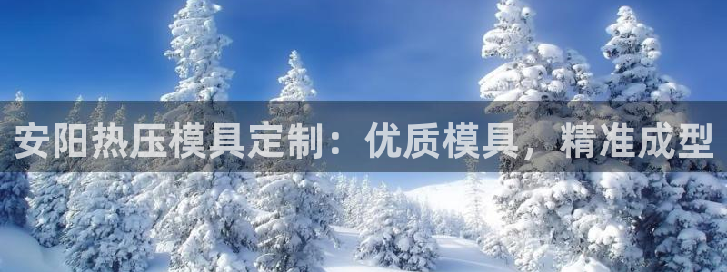 易倍单词官网下载