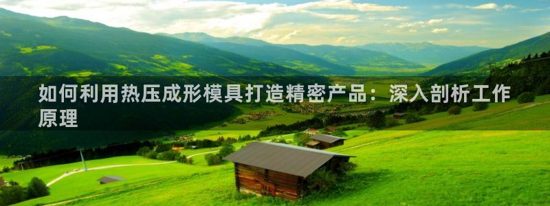 易倍纤奶昔减肥效果怎么样：如何利用热压成形模具打造精密产