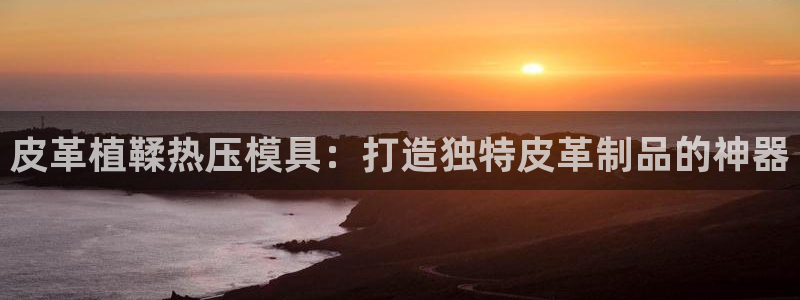 emc易倍首页：皮革植鞣热压模具：打造独特皮革制品的神器