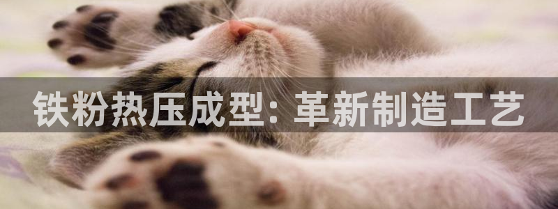 易倍单词官方网站的：铁粉热压成型: 革新制造工艺