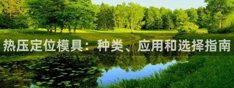 易倍申片：热压定位模具：种类、应用和选择指南