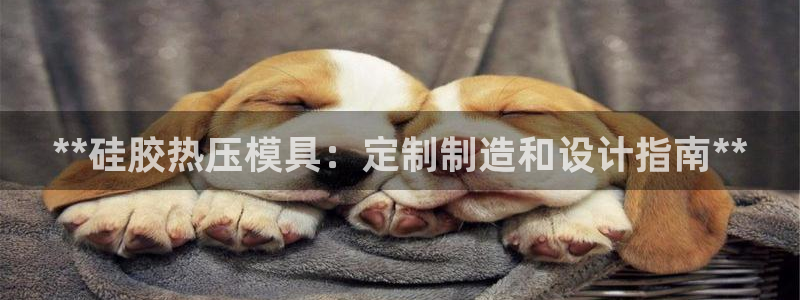 易倍纤谷物粉效果好吗：**硅胶热压模具：定制制造和设计指