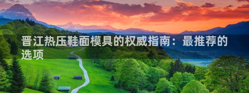 emc全站下载：晋江热压鞋面模具的权威指南：最推荐的
选
