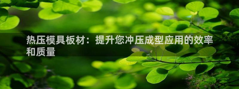 易倍达科技有限公司：热压模具板材：提升您冲压成型应用的效