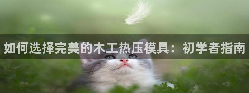 emc易倍电竞：如何选择完美的木工热压模具：初学者指南