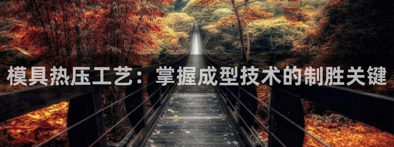 emc易倍全站：模具热压工艺：掌握成型技术的制胜关键