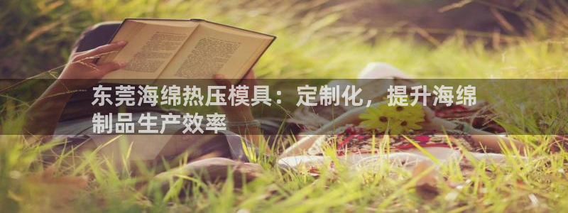 emc下载：东莞海绵热压模具：定制化，提升海绵
制品生产