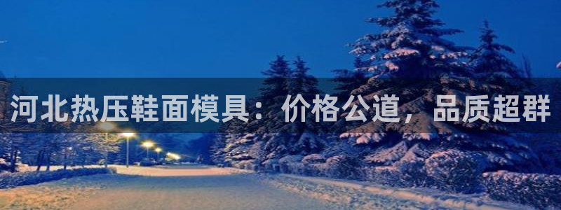 EMC倍频是什么意思：河北热压鞋面模具：价格公道，品质超