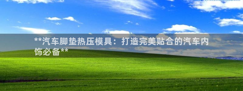 易倍网络技术有限公司是干嘛的：**汽车脚垫热压模具：打造