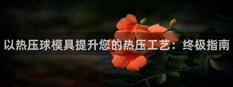 易倍纤减肥价格：以热压球模具提升您的热压工艺：终极指南