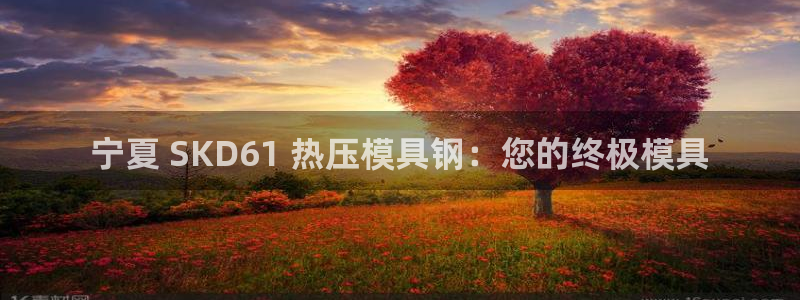 EMC倍频是什么意思：宁夏 SKD61 热压模具钢：您的