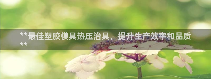emc易倍首存500送球衣：**最佳塑胶模具热压治具，提