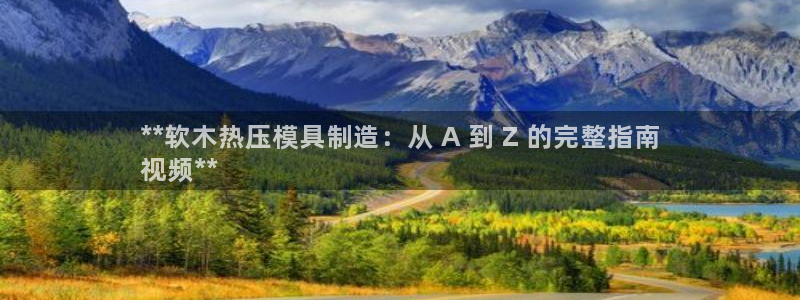 emc备份软件：**软木热压模具制造：从 A 到 Z 的