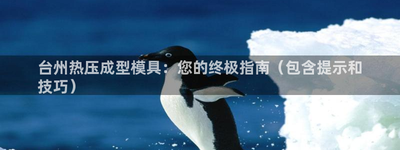 emc低频：台州热压成型模具：您的终极指南（包含提示和
