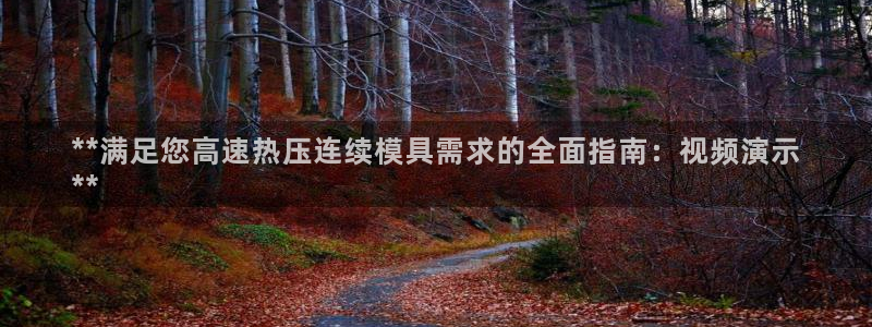 emc易倍官网登录入口：**满足您高速热压连续模具需求的