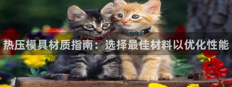 emc全站下载：热压模具材质指南：选择最佳材料以优化性能