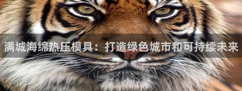 易倍下载手机版：满城海绵热压模具：打造绿色城市和可持续未