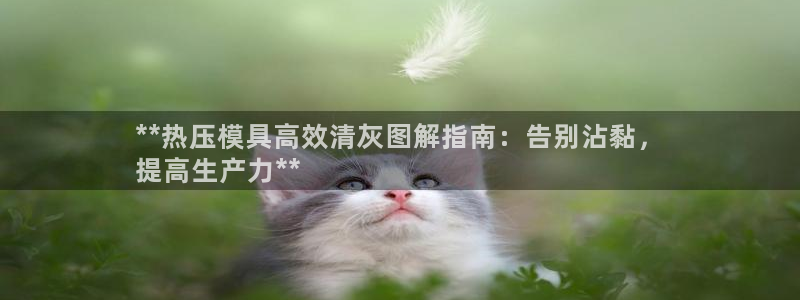 易倍康简历：**热压模具高效清灰图解指南：告别沾黏，
提