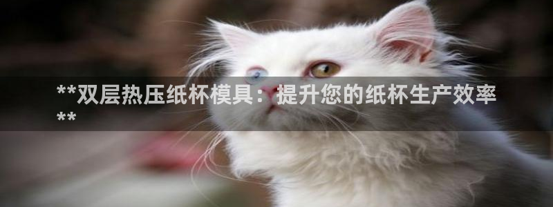 易倍申价格：**双层热压纸杯模具：提升您的纸杯生产效率
